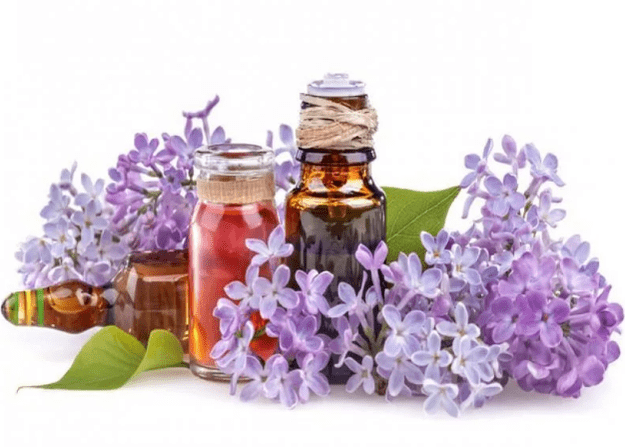 La infusión de lilas